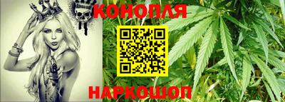 дмт Новозыбков