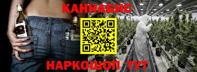 дмт Новозыбков