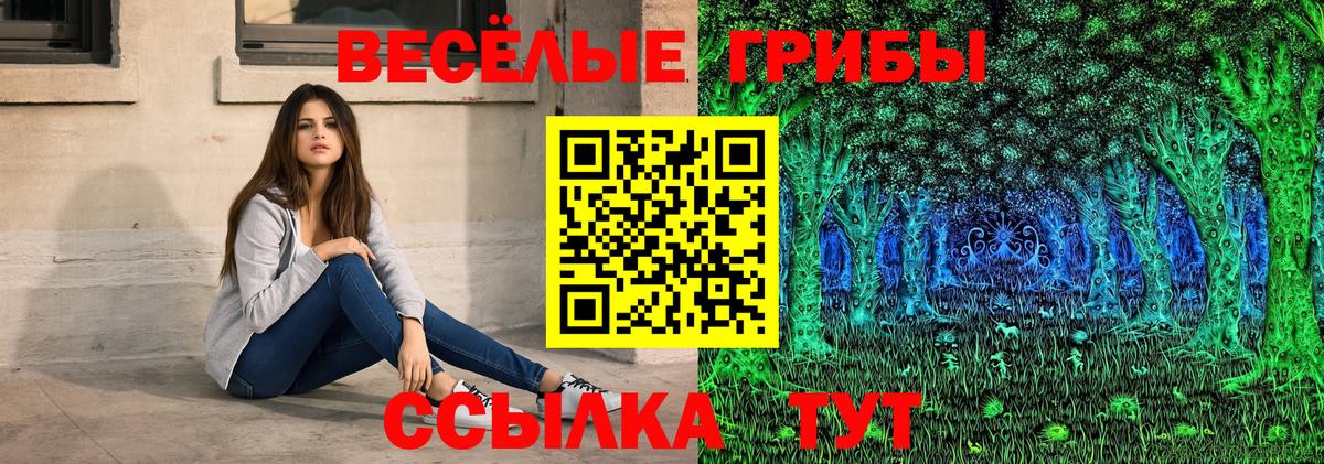 Псилоцибиновые грибы GOLDEN TEACHER Тимашёвск